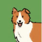 犬驱羊归v1.0.4